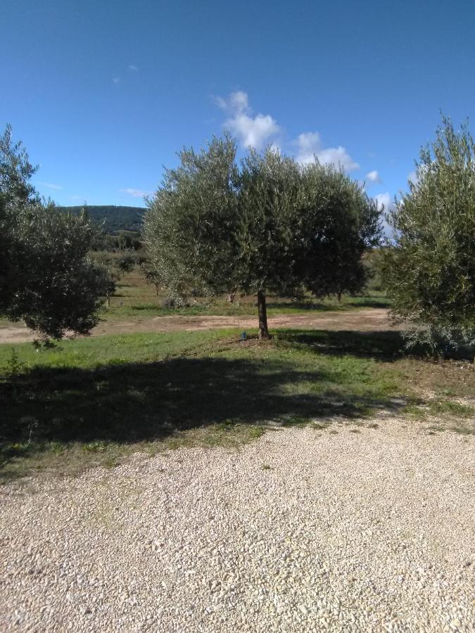 Vacances Vaison La Romaine Exterior photo